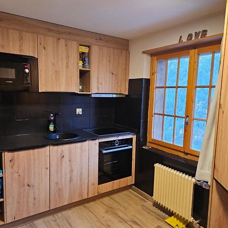 Le Panorama - Appartement 54 A Arolla Face Aux Montagnes A 150M Des Pistes Evolène Dış mekan fotoğraf