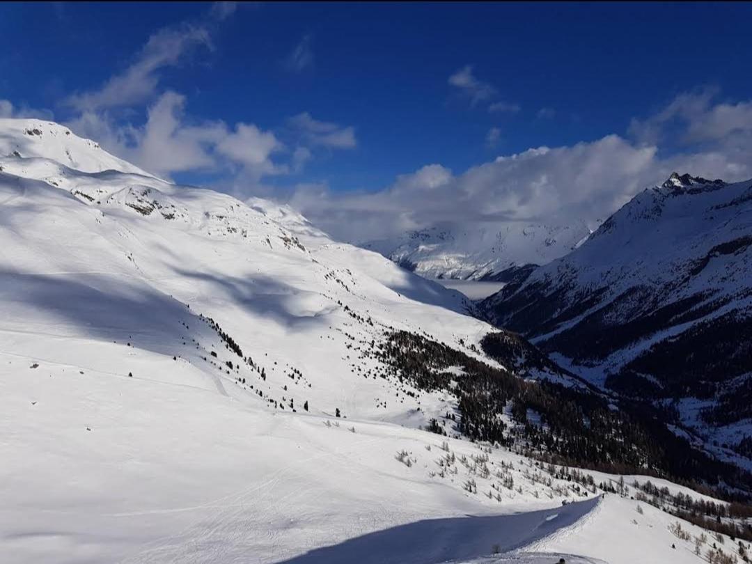 Le Panorama - Appartement 54 A Arolla Face Aux Montagnes A 150M Des Pistes Evolène Dış mekan fotoğraf