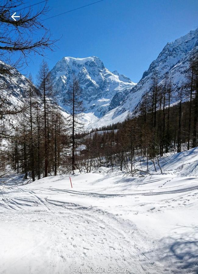 Le Panorama - Appartement 54 A Arolla Face Aux Montagnes A 150M Des Pistes Evolène Dış mekan fotoğraf