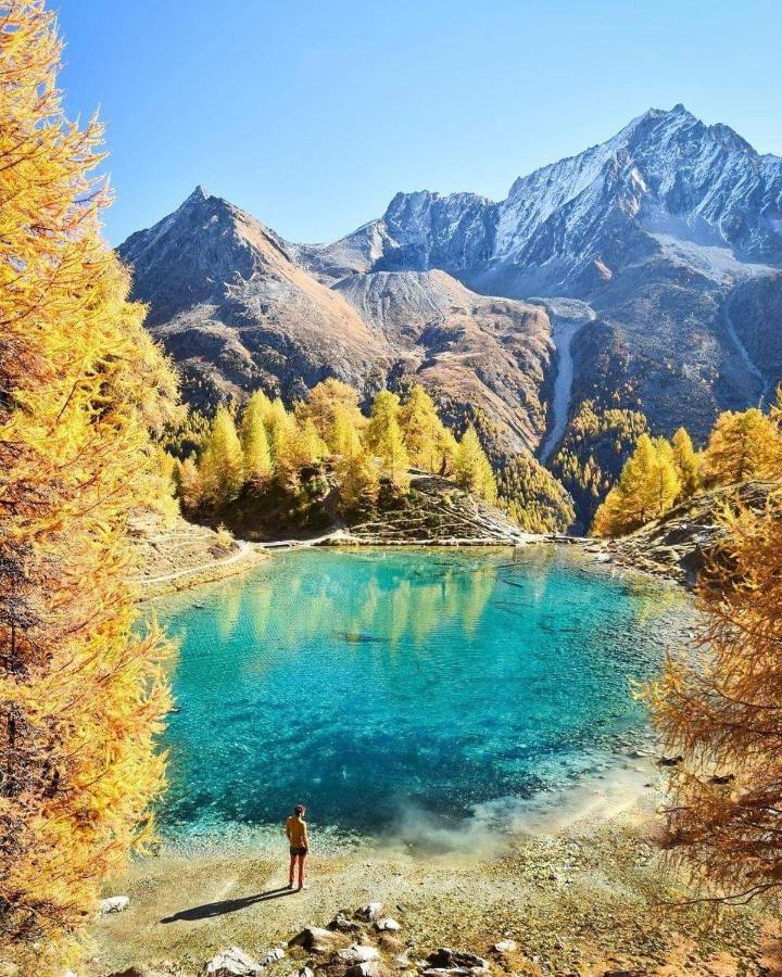 Le Panorama - Appartement 54 A Arolla Face Aux Montagnes A 150M Des Pistes Evolène Dış mekan fotoğraf