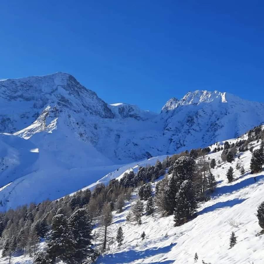 Le Panorama - Appartement 54 A Arolla Face Aux Montagnes A 150M Des Pistes Evolène Dış mekan fotoğraf
